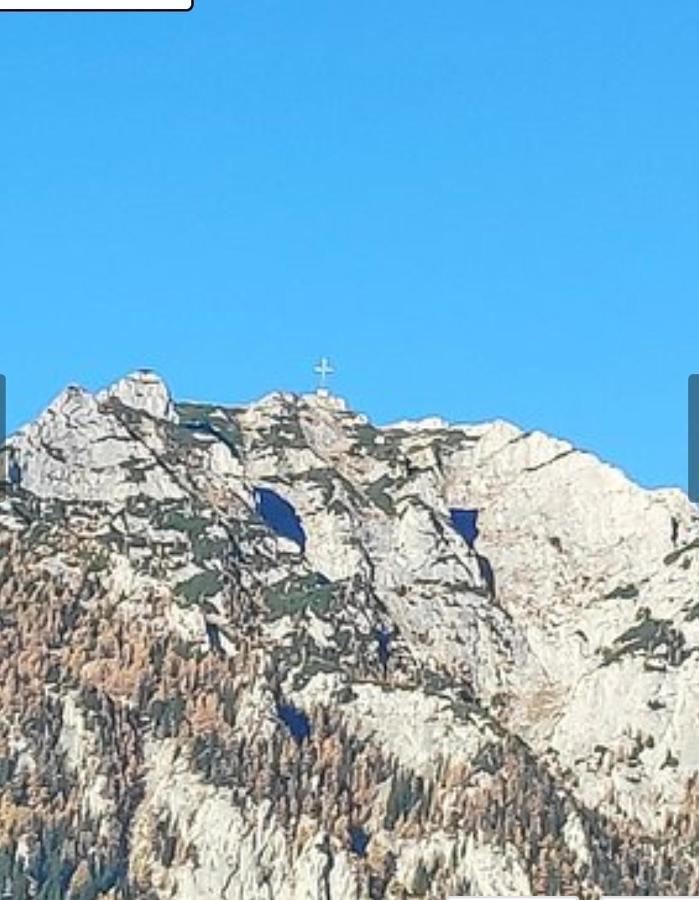 Casa Bucegi Буштени Экстерьер фото
